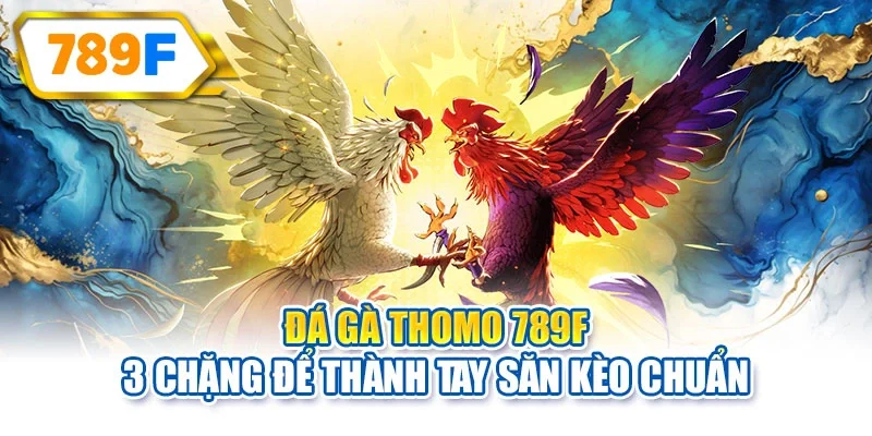 Đá gà Thomo